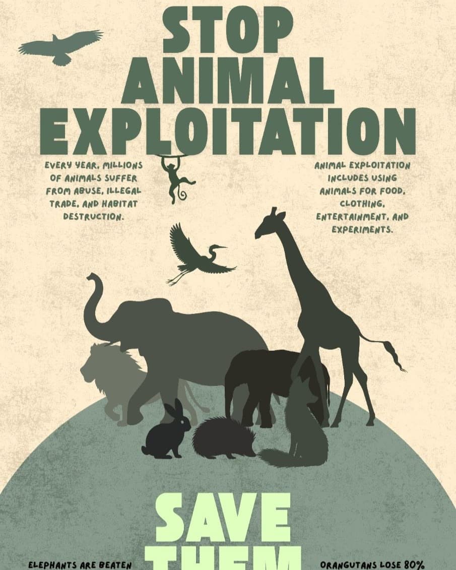 Social Awareness — Animal Exploitation Poster