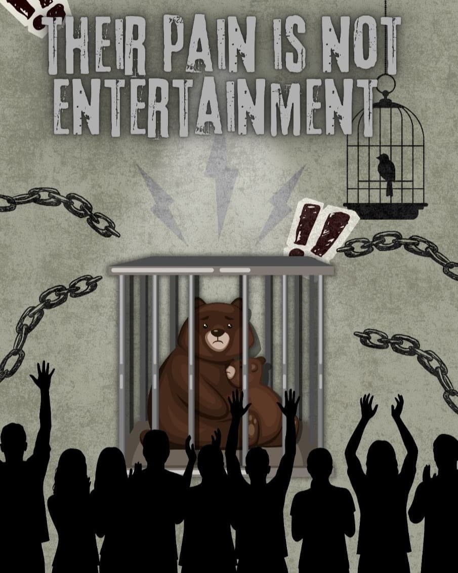 Awareness Poster — Their Pain Is Not Entertainment